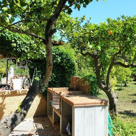 Вілла Finca Es Verger Des Port Сольєр Екстер'єр фото